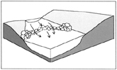 cross vanes icon