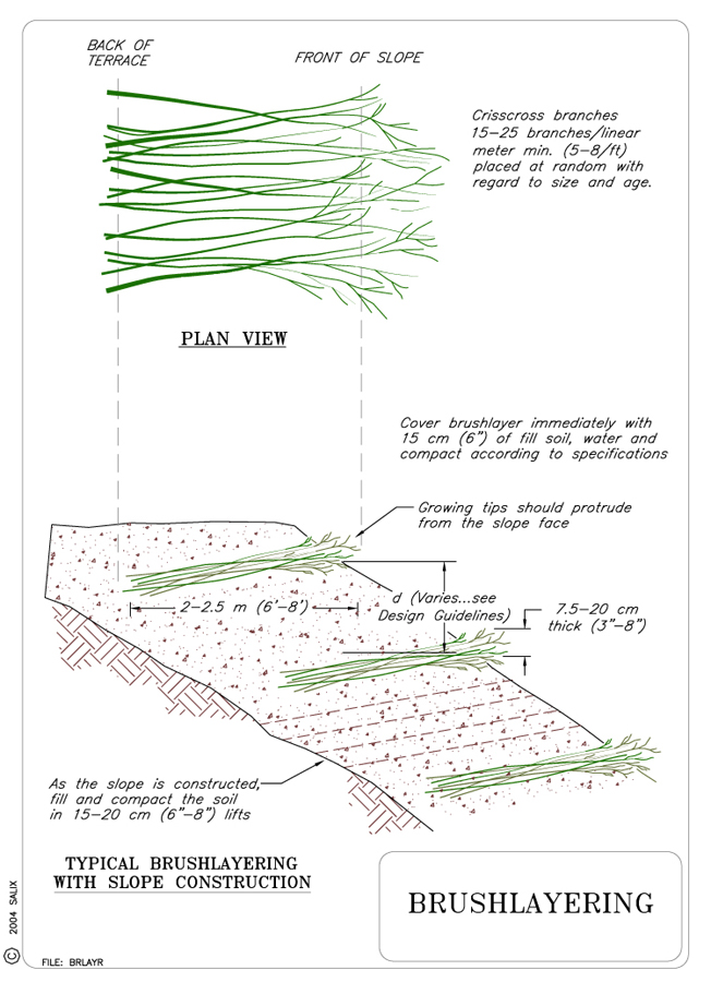 Brush layering shop