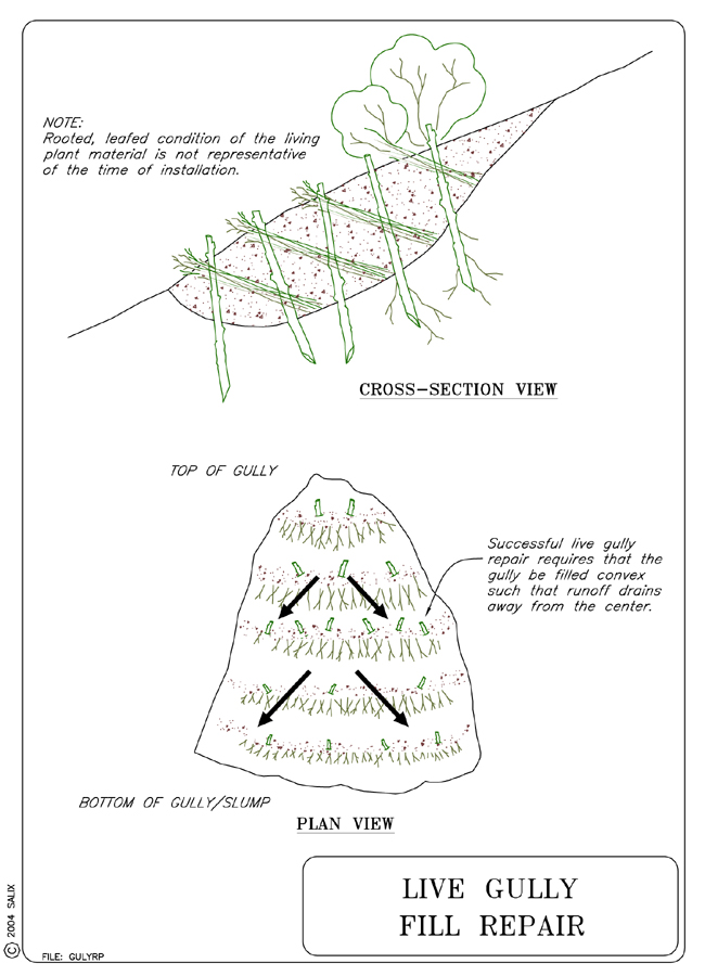 Live Gully Repair