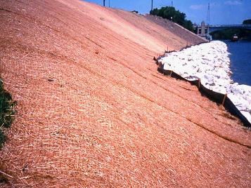 Steep Slope Armoring Erosion Control