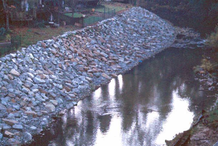 Vegetated Riprap